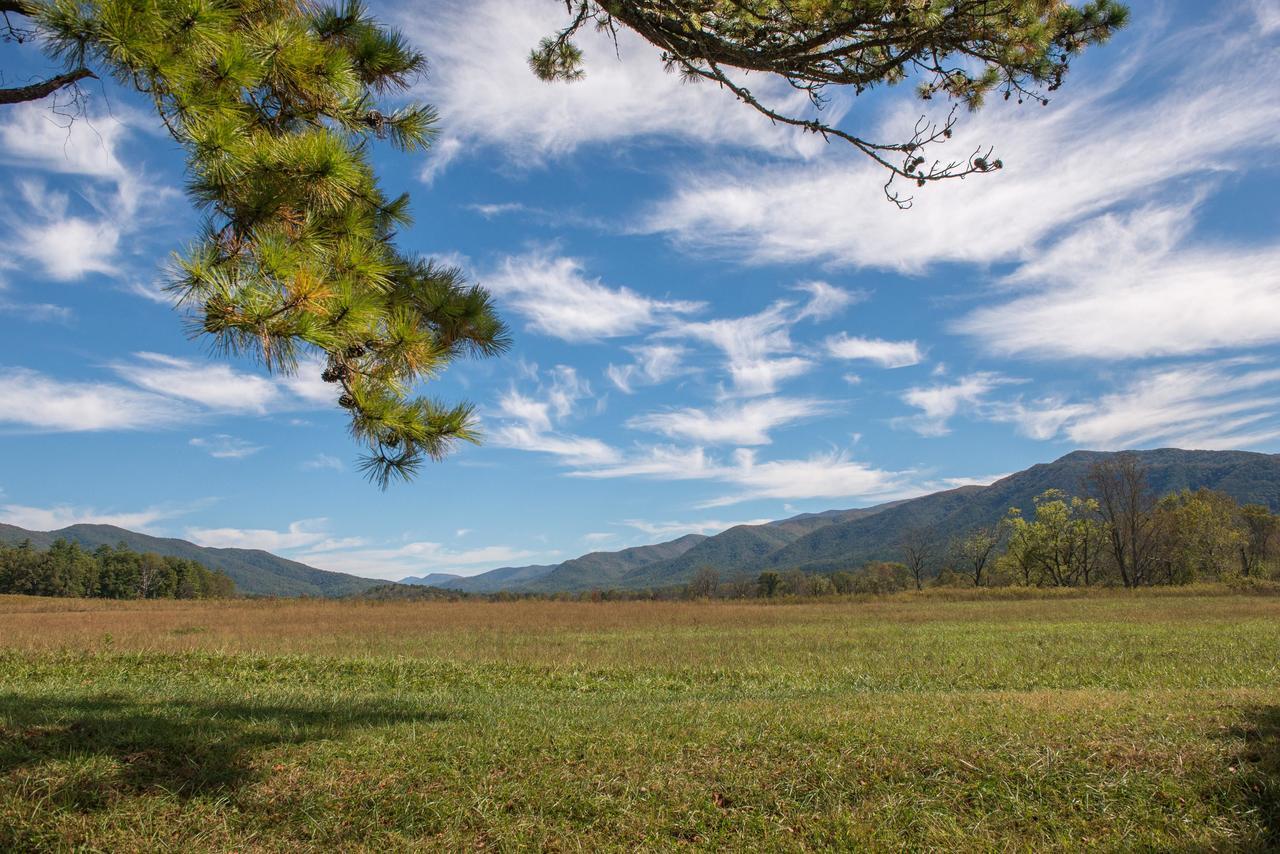 Sandy'S Sanctuary Apartment Pigeon Forge Ngoại thất bức ảnh